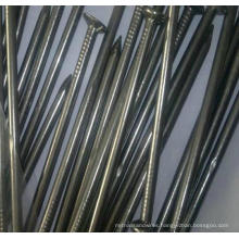 Standard Nails Supplies Zinc Galvanized Iron Concrete Nails